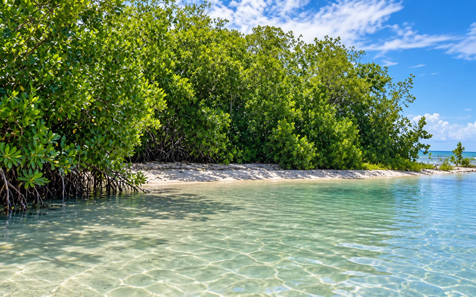 Cayo Laurel, La Parguera